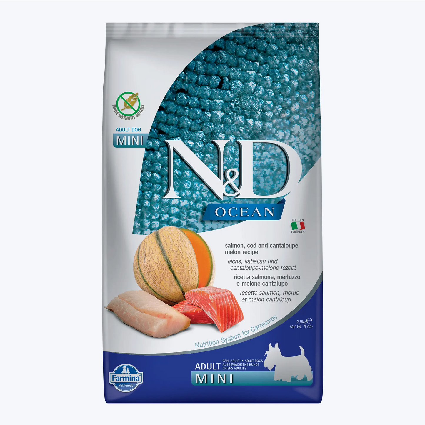 N&D Ocean Somonlu Morina Balıklı ve Kavunlu Tahılsız Mini Irk Yetişkin Köpek Maması 2,5 Kg
