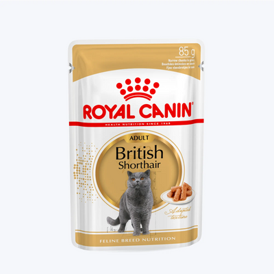 Royal Canin British Shorthair Sos İçinde Yetişkin Kedi Yaş Maması 85 Gr (12 Adet)