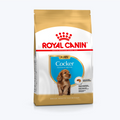 Royal Canin Cocker Puppy Yavru Köpek Maması