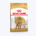 Royal Canin Poodle Yetişkin Köpek Maması