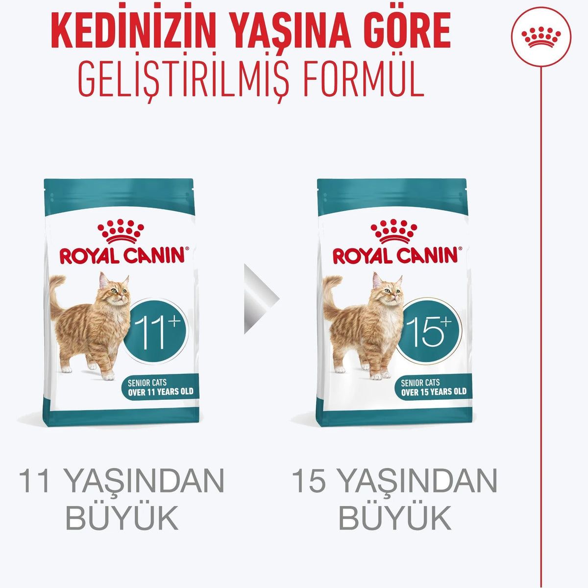 Royal Canin Healthy Ageing 11+ Yaşlı Kedi Maması yaşa göre formül
