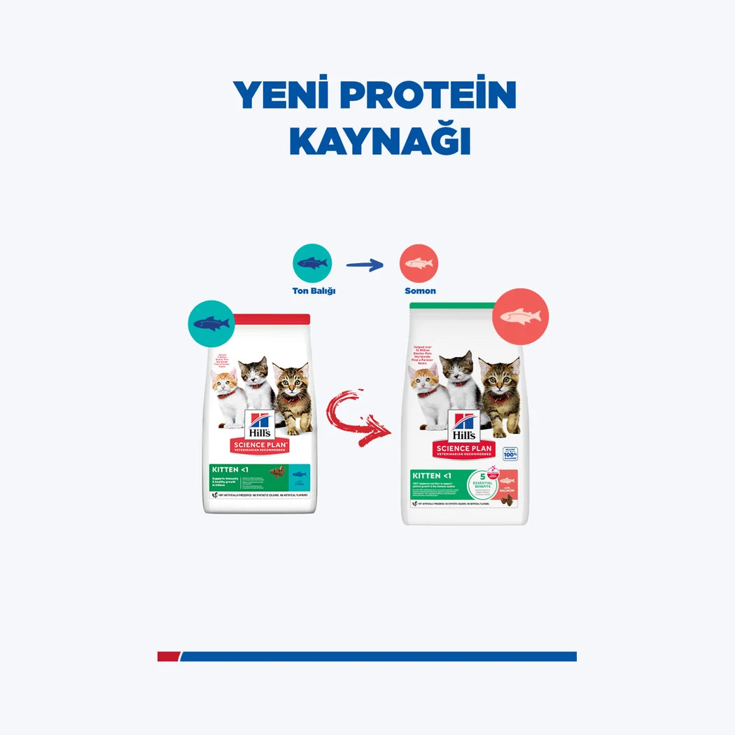 Hill's SCIENCE PLAN Somonlu Yavru Kedi Maması