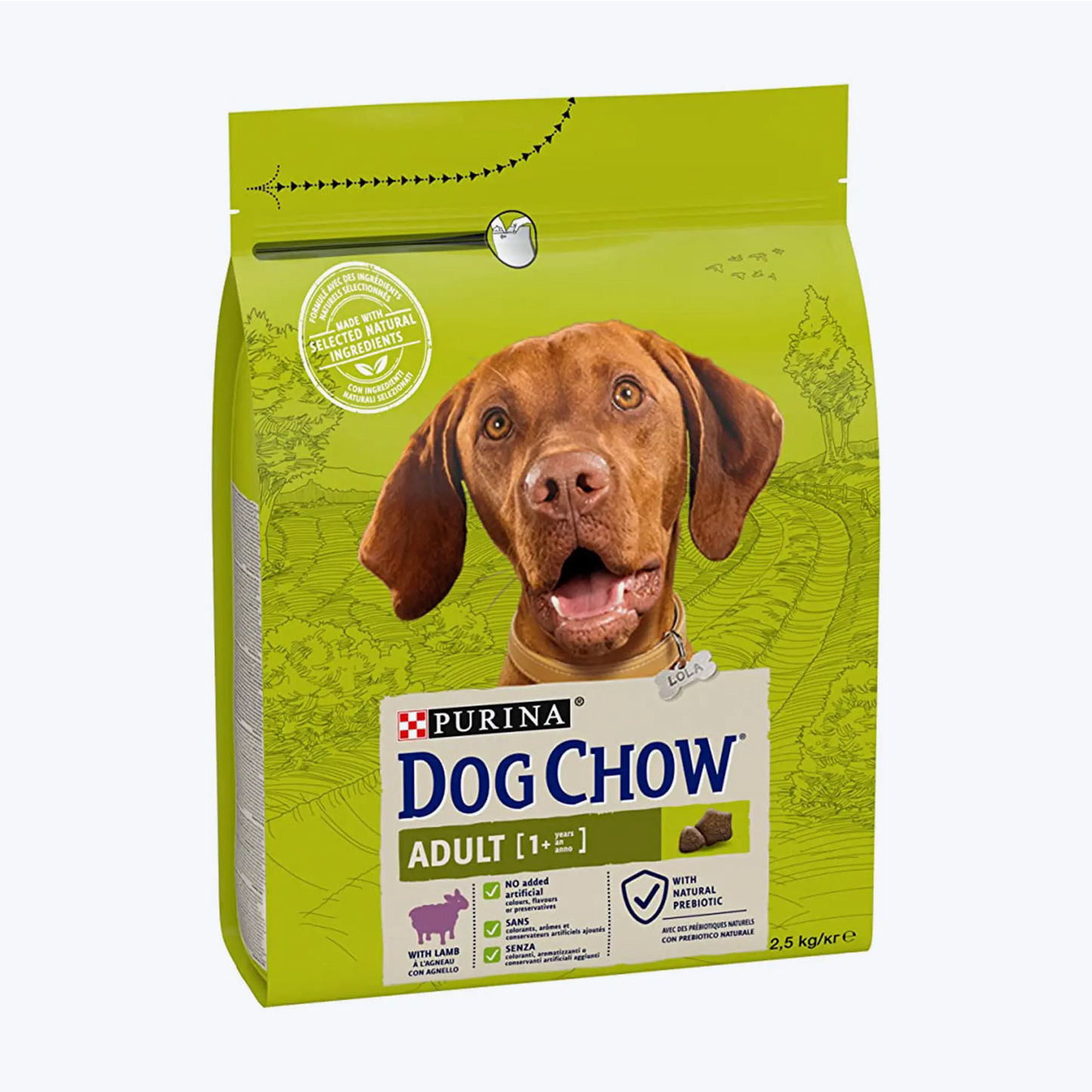 Dog Chow Adult Kuzu Etli Yetişkin Köpek Maması 2.5 Kg