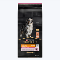 Yaşlı Köpek Maması