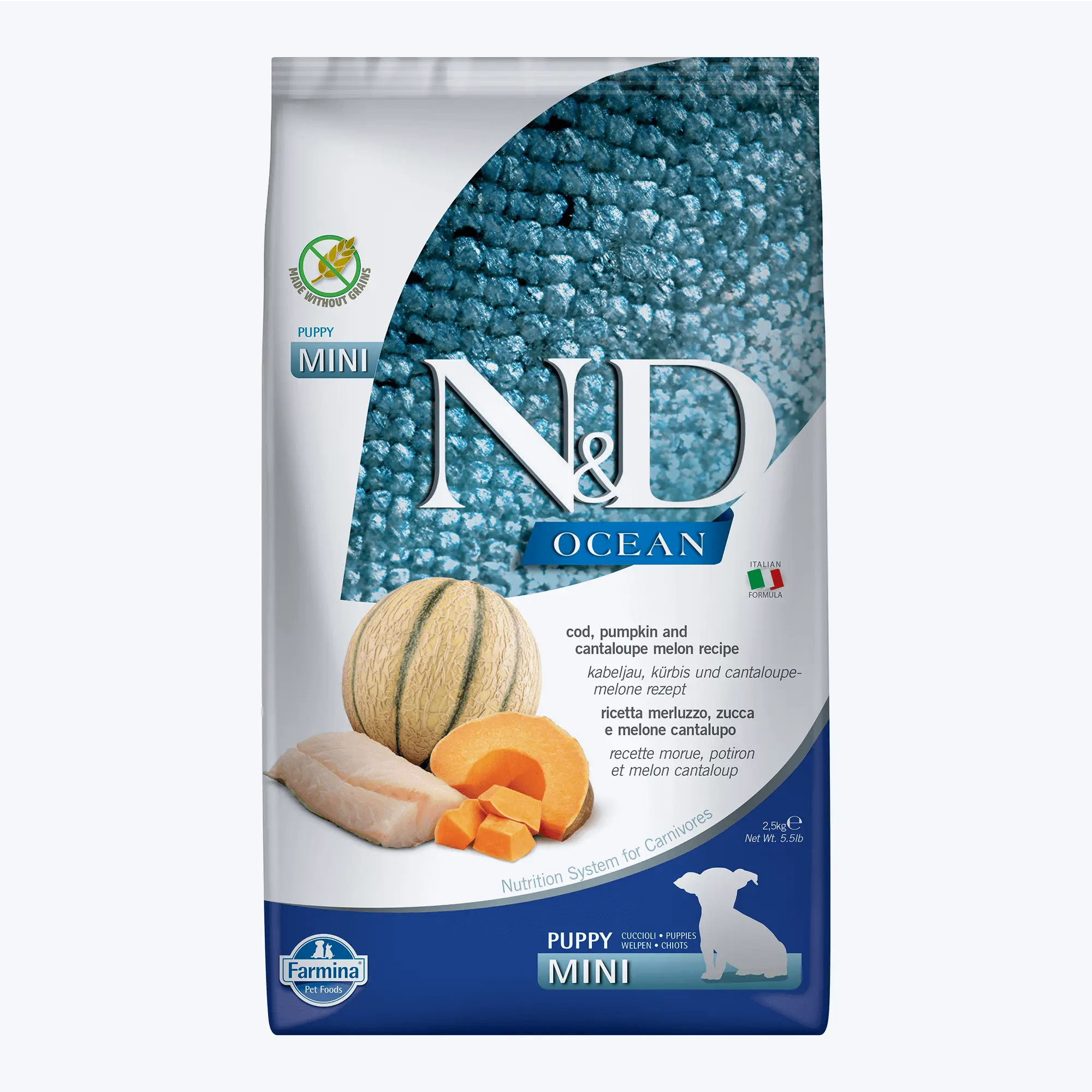 N&D Ocean Morina Balıklı Bal Kabaklı ve Kavunlu Küçük Irk Tahılsız Yavru Köpek Maması 2,5 Kg