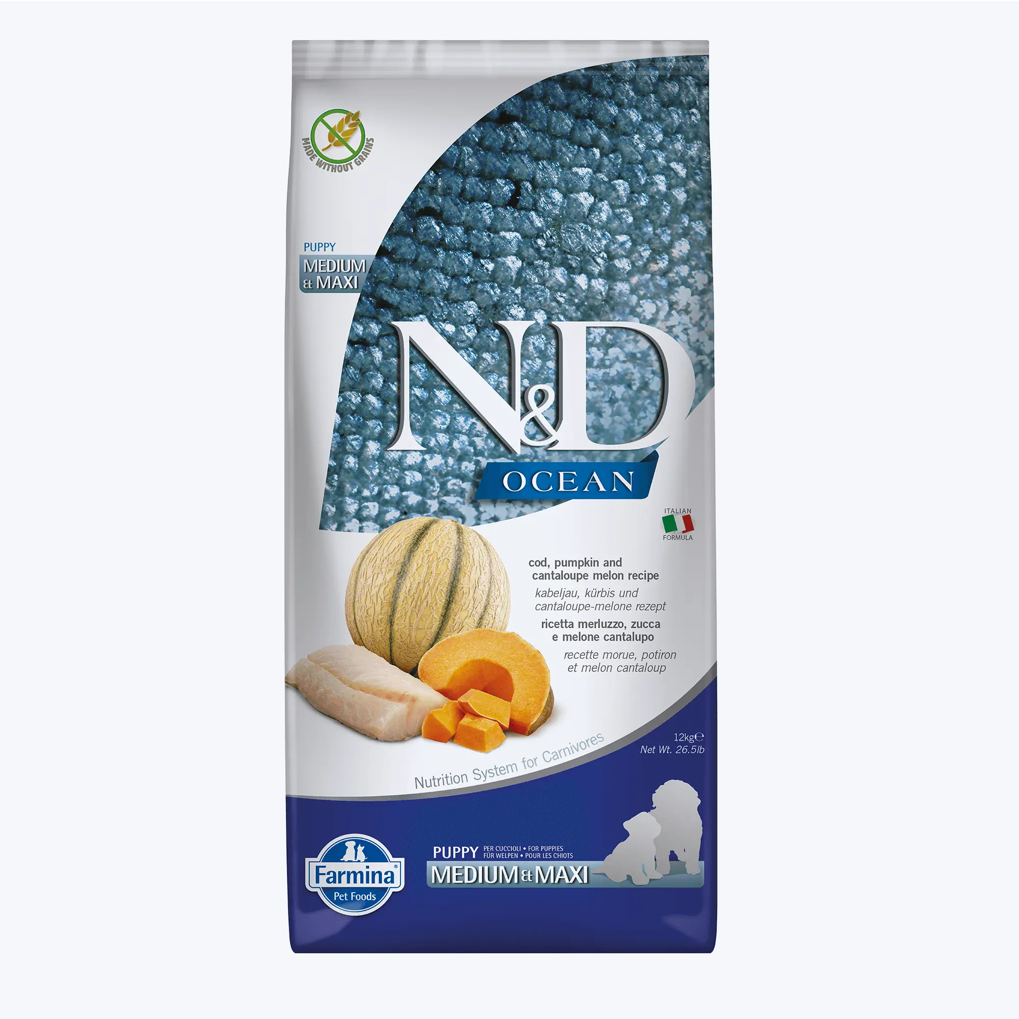 N&D Ocean Morina Balıklı Bal Kabaklı ve Kavunlu Tahılsız Orta ve Büyük Irk Yavru Köpek Maması 12 Kg