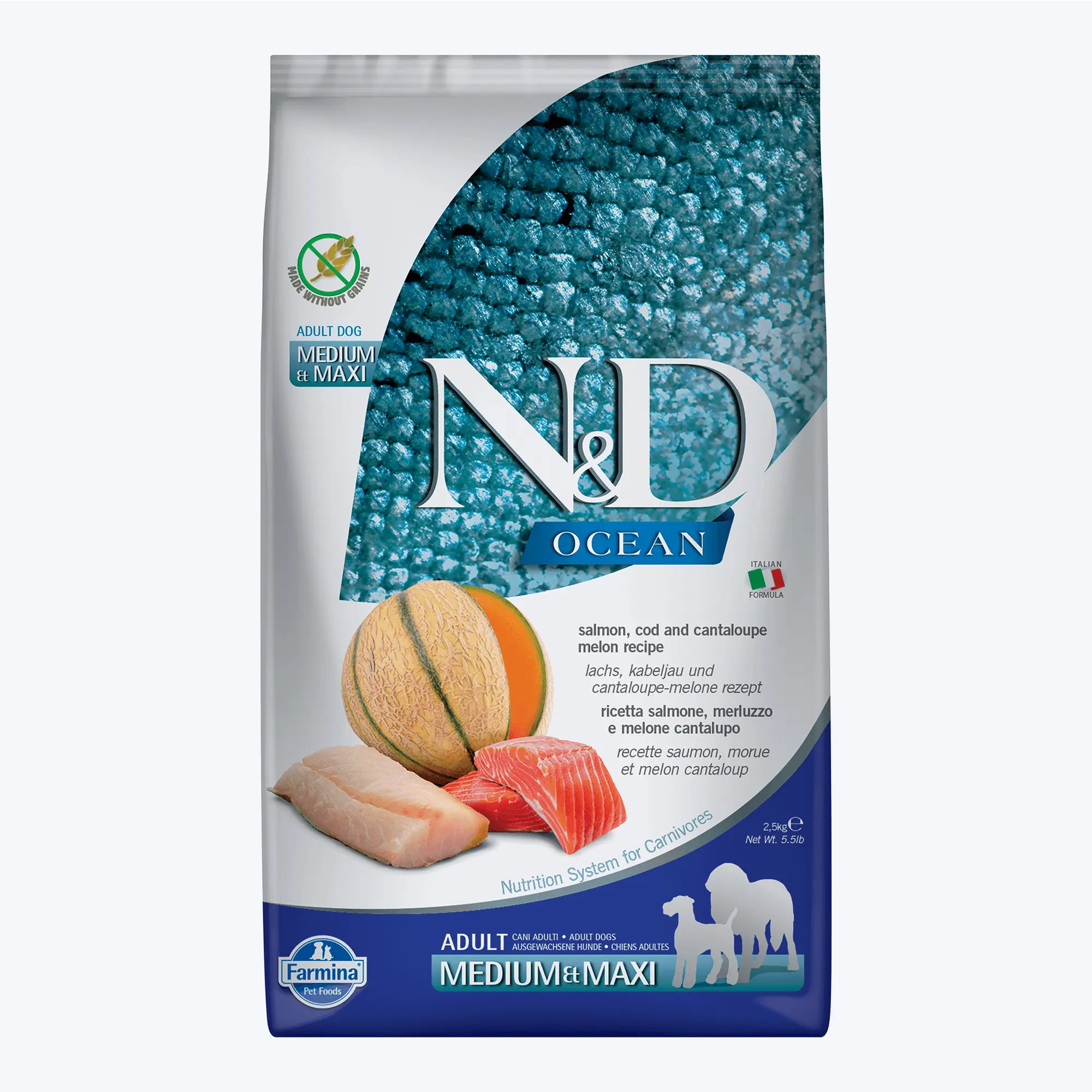 N&D Ocean Somon, Morina Balıklı ve Kavunlu Medium Maxi Yetişkin Köpek Maması 2,5 Kg