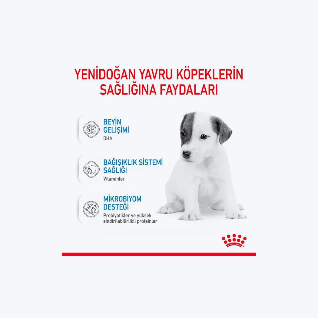 Babydog Milk