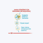 Royal Canin Puppy Chihuahua