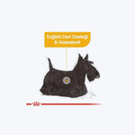 ROYAL CANIN® Dermacomfort Loaf
