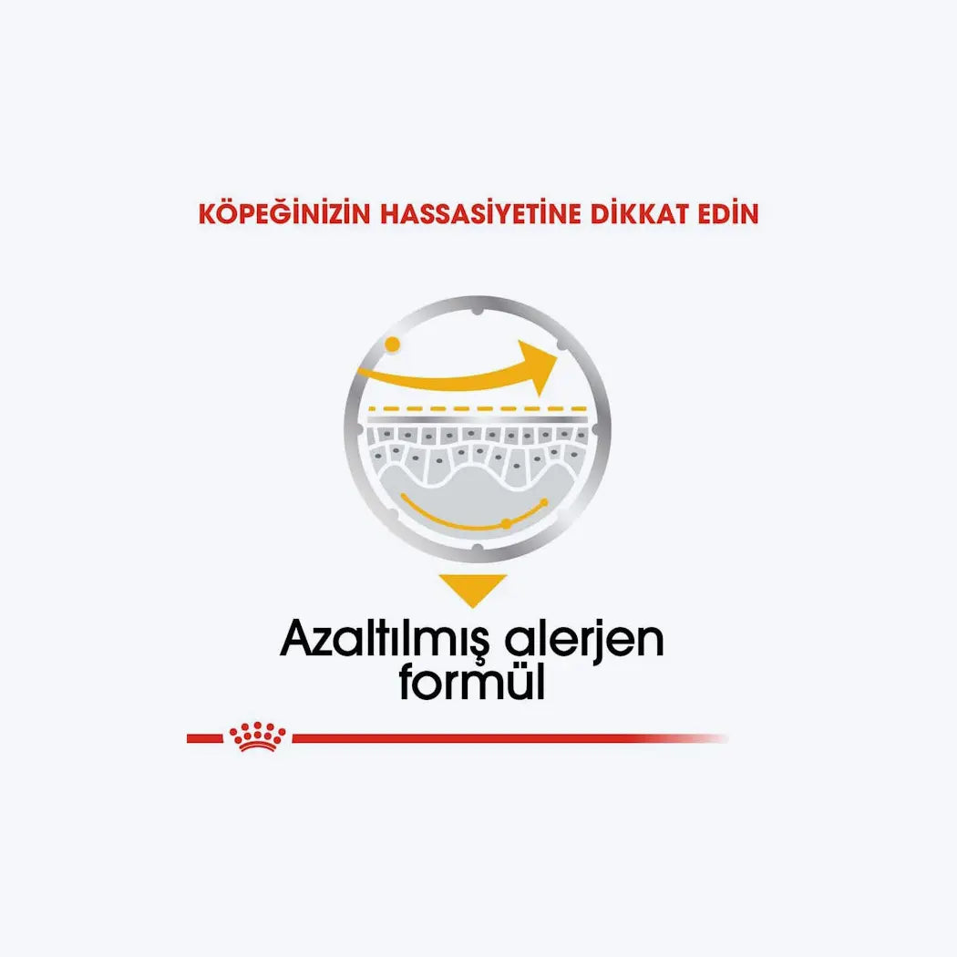 ROYAL CANIN® Dermacomfort Loaf