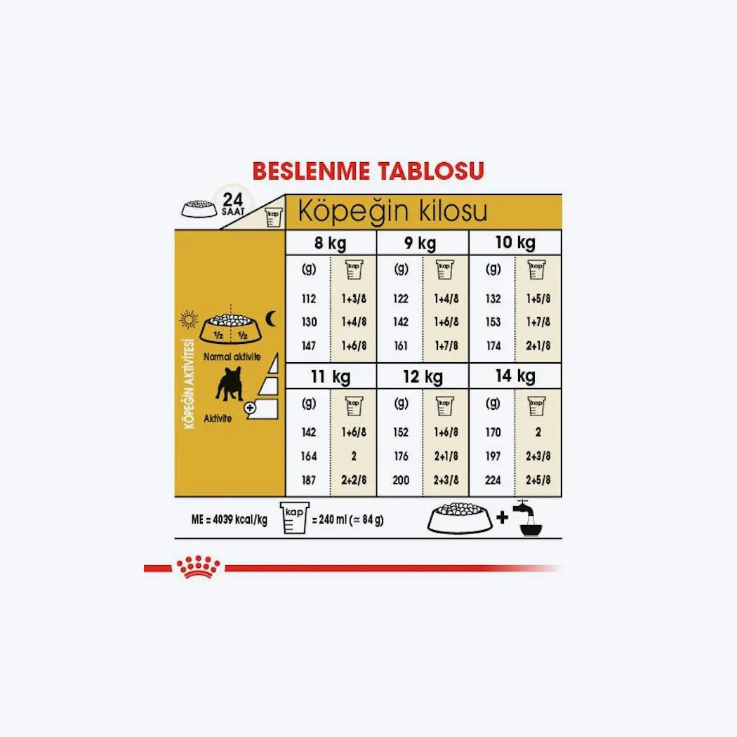 French Bulldog Adult