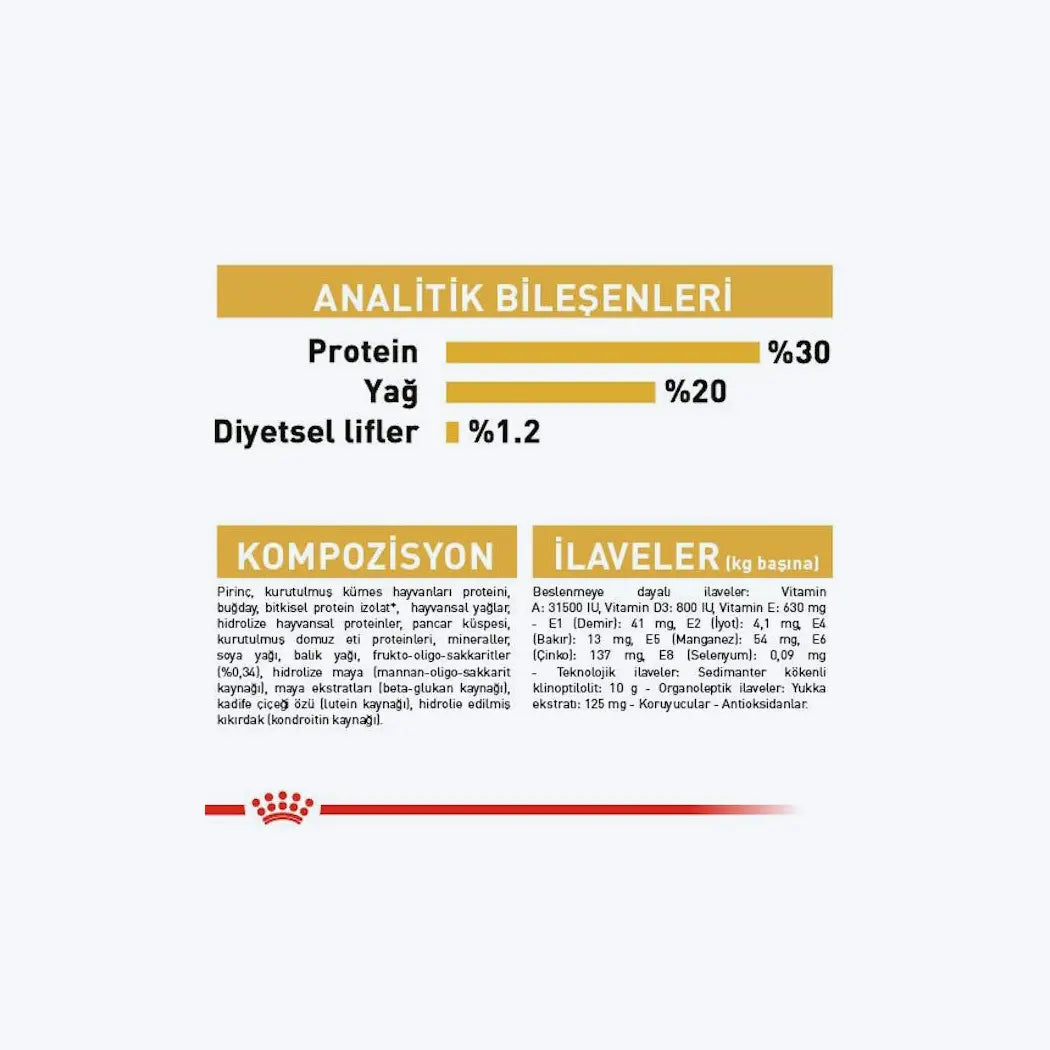 French Bulldog Puppy