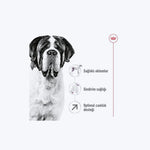 Royal Canin Giant Adult