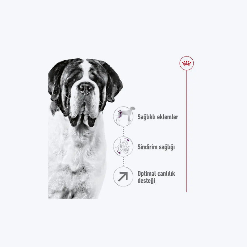 Royal Canin Giant Adult