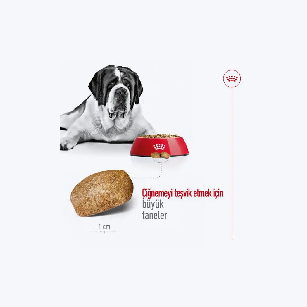Royal Canin Giant Adult