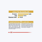 Golden Retriever Adult