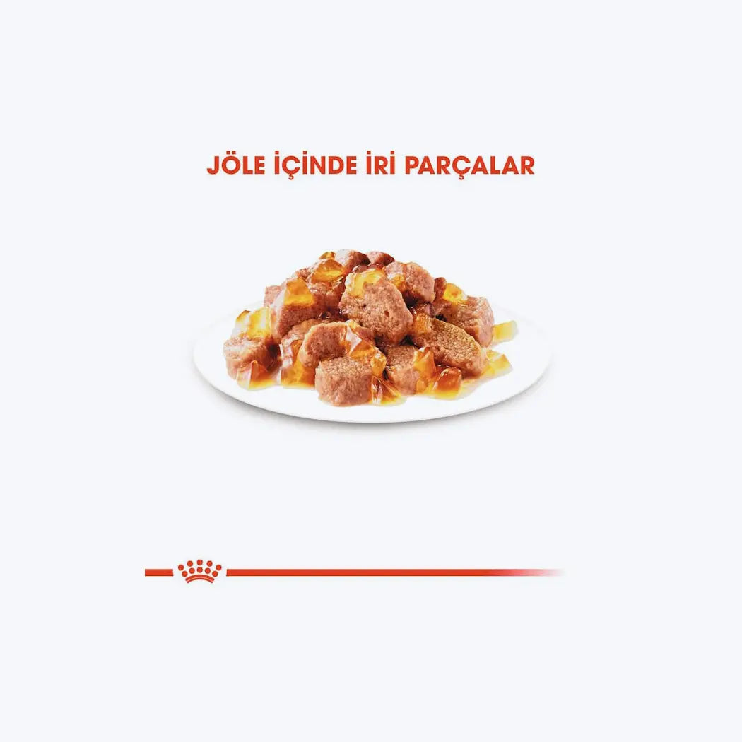 Royal Canin Hair&Skin Jelly