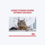 Royal Canin Hair&Skin Jelly