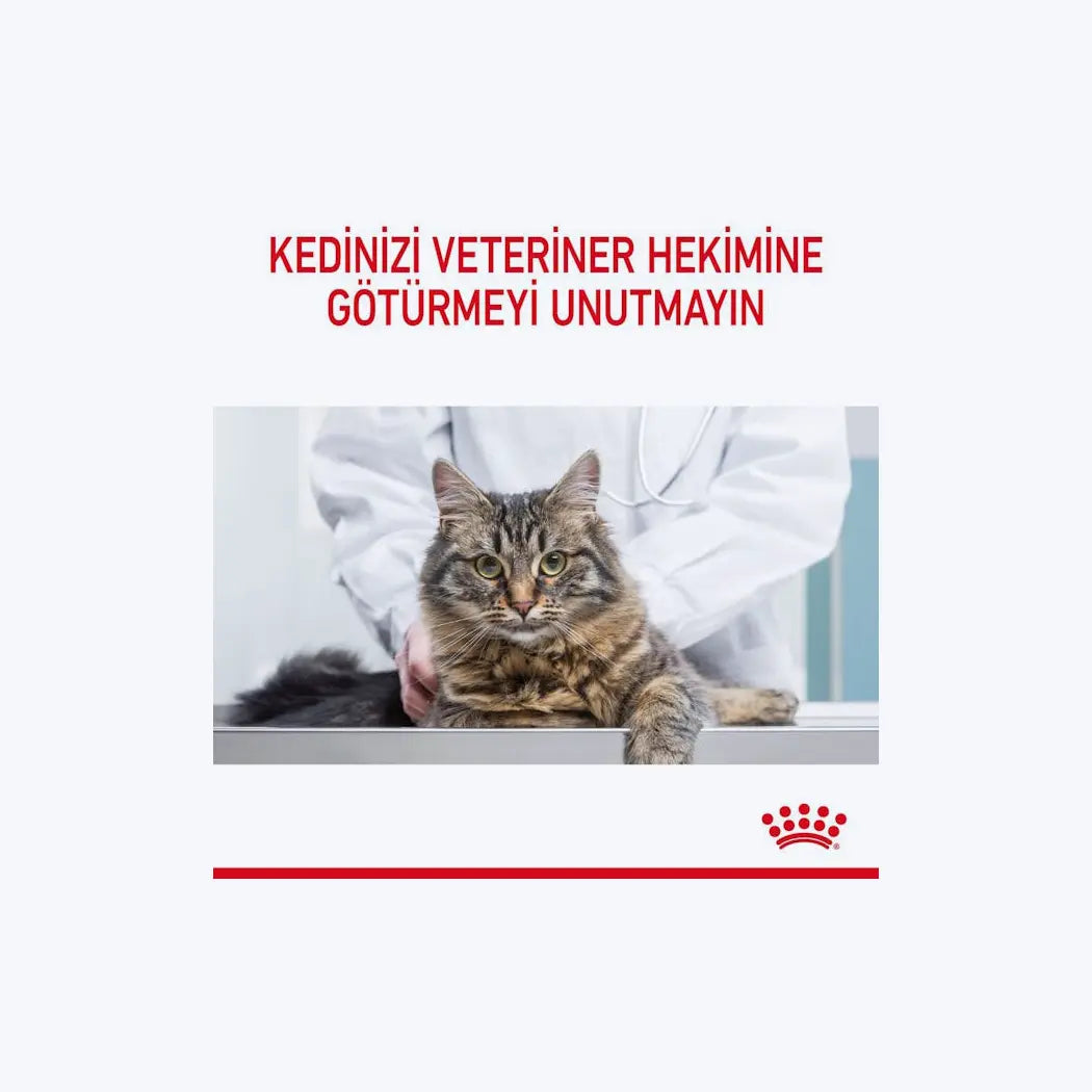 Royal Canin Hair&Skin Jelly