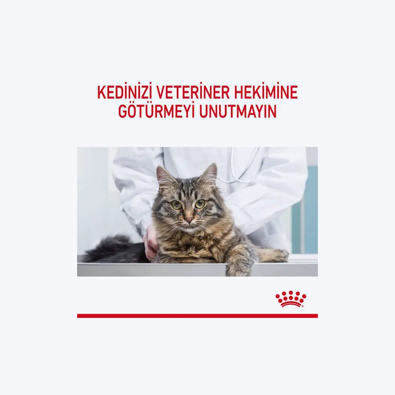 Royal Canin Hair&Skin Jelly