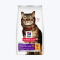 Hill's SCIENCE PLAN Sensitive Stomach & Skin Tavuklu Yetişkin Kedi Maması