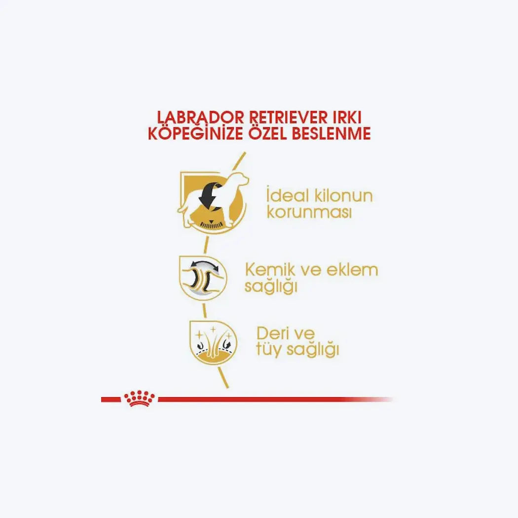 Royal Canin Labrador Retriever