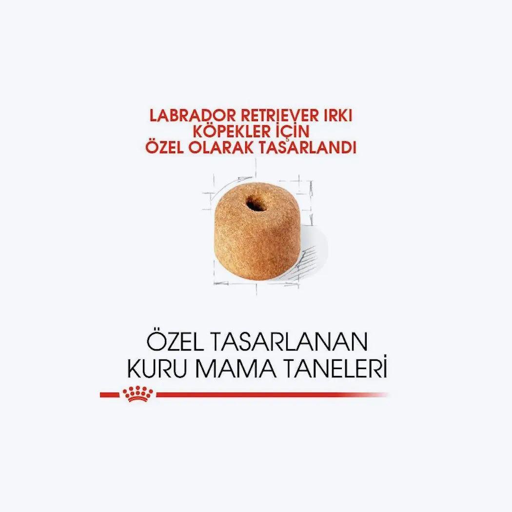 Royal Canin Labrador Retriever