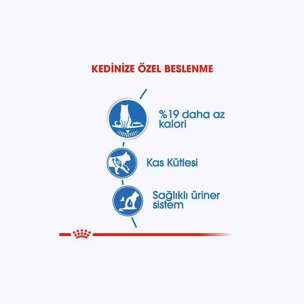 Royal Canin Ultra Light Sos içinde Yetişkin Kedi Yaş Maması