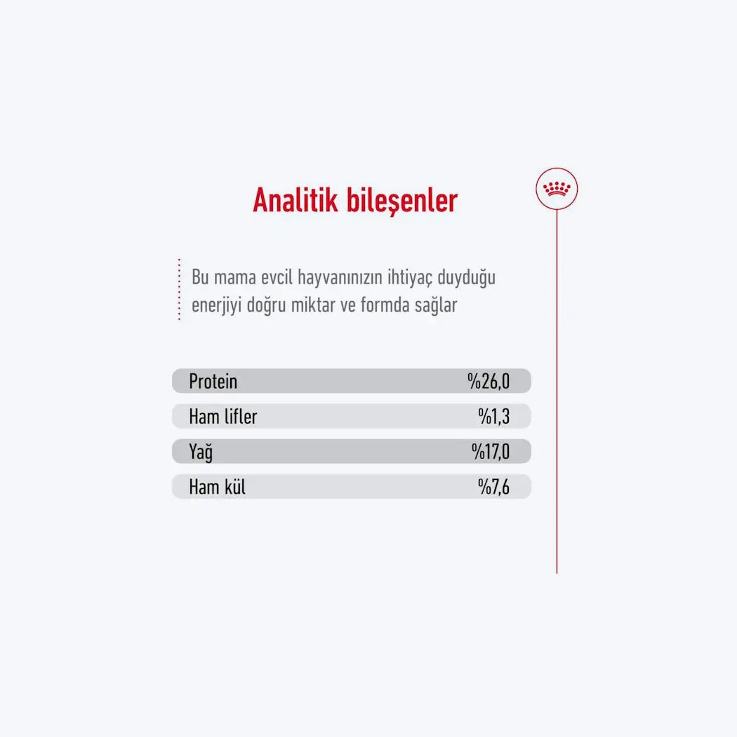 Royal Canin Maxi Adult