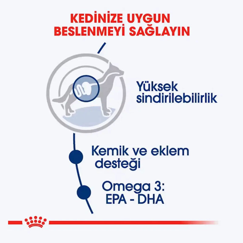 Royal Canin Maxi Adult Gravy Yetişkin Köpek Yaş Maması