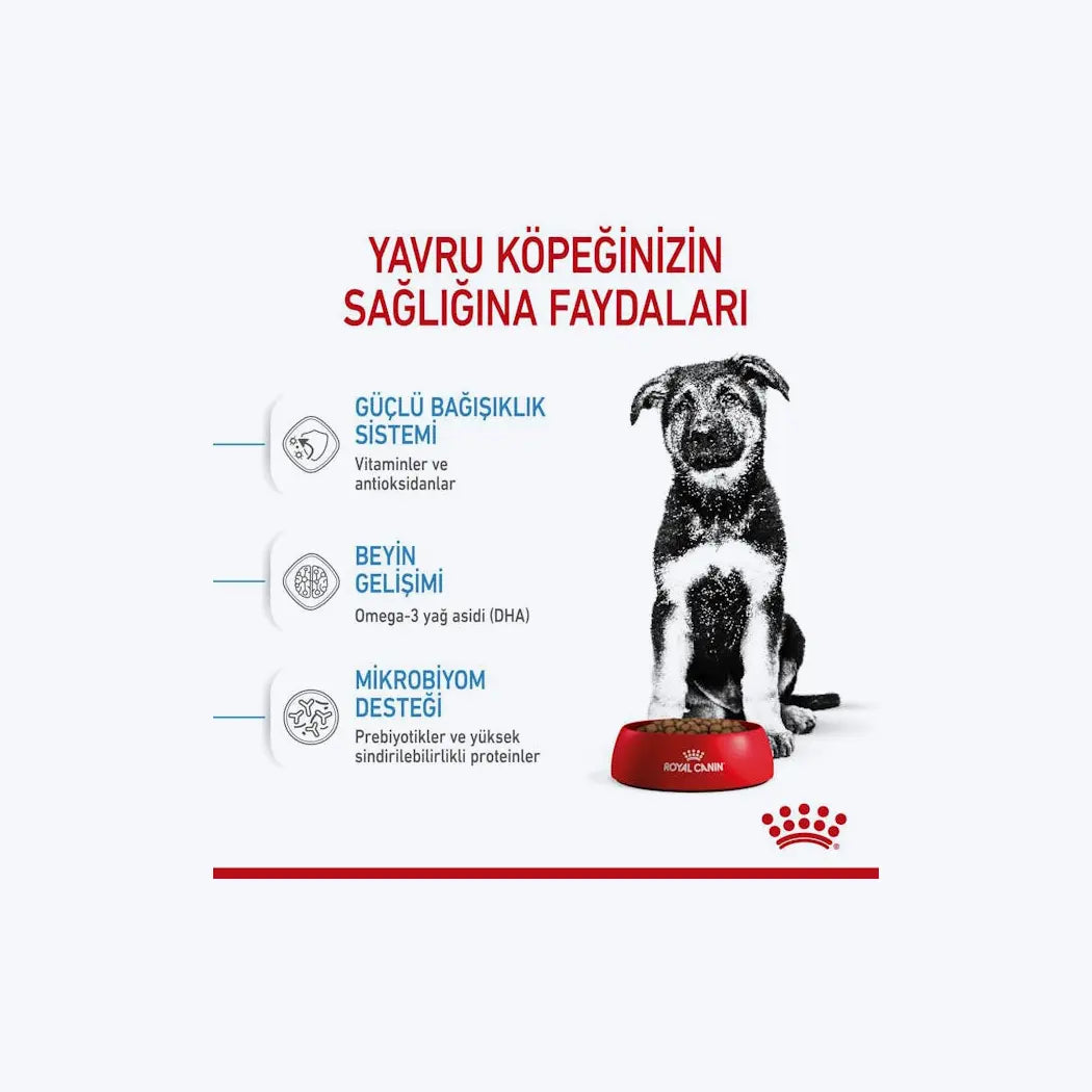 ROYAL CANIN® Maxi Puppy