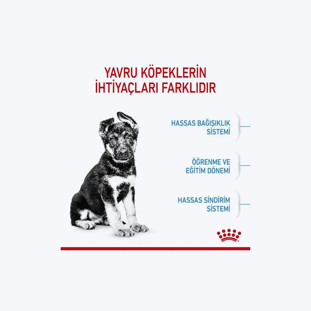 ROYAL CANIN® Maxi Puppy