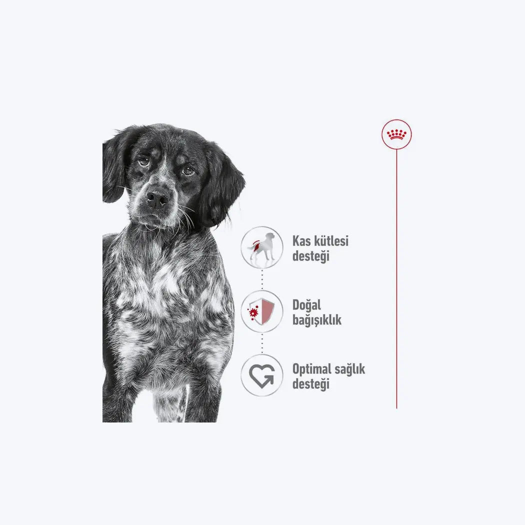 ROYAL CANIN® Medium Adult