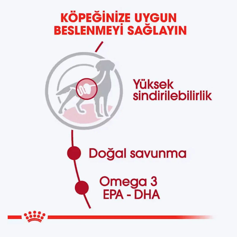 Royal Canin Medium Adult Gravy Yetişkin Köpek Yaş Maması