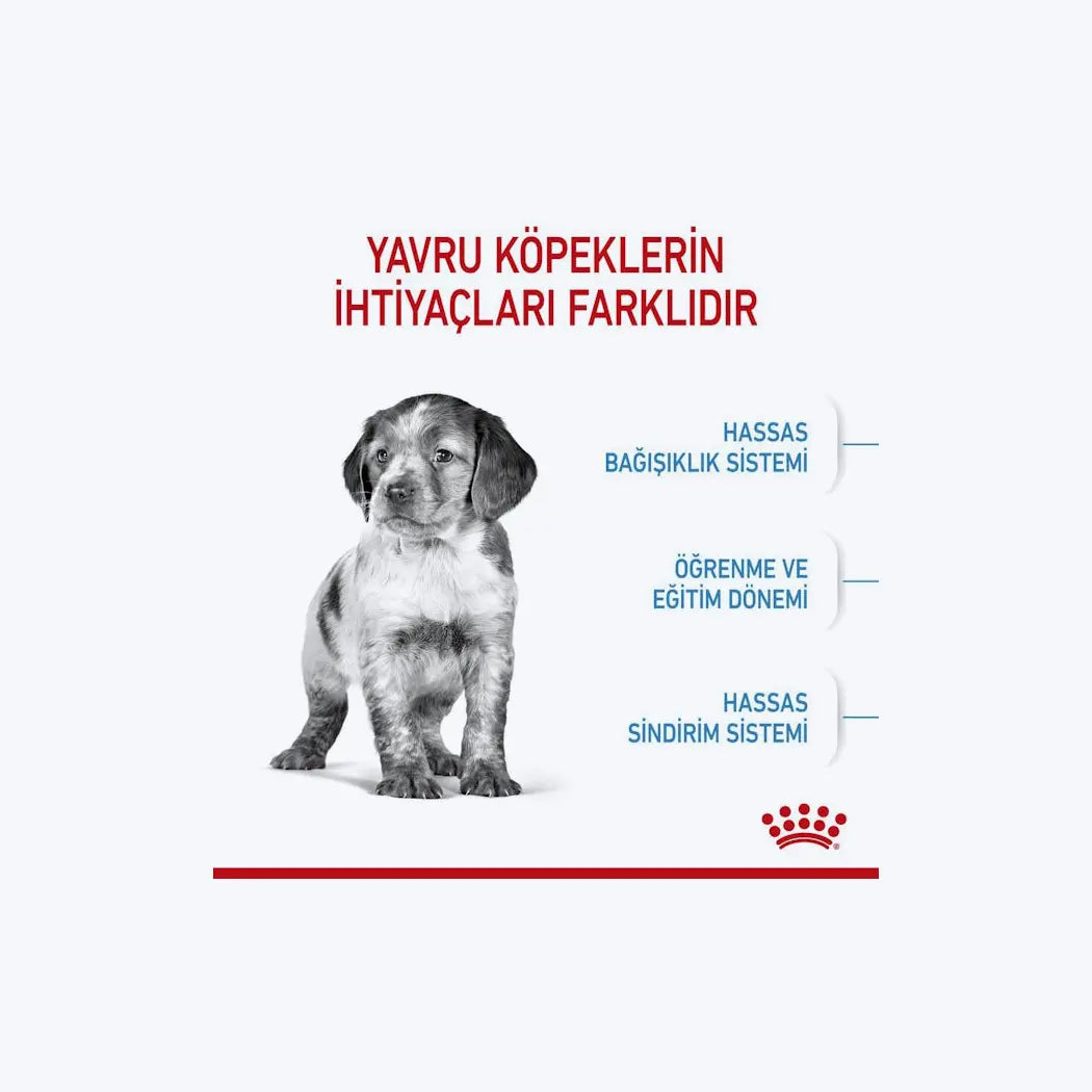 Royal Canin Medium Puppy