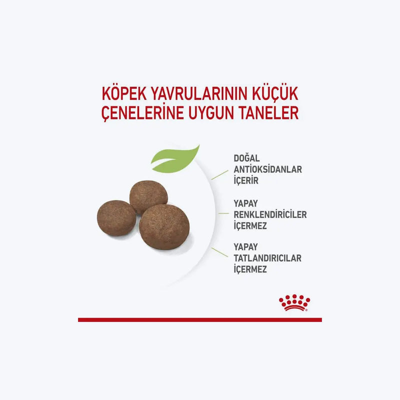 Royal Canin Medium Puppy