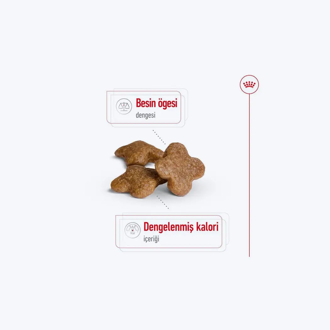 Royal Canin Mini 8+