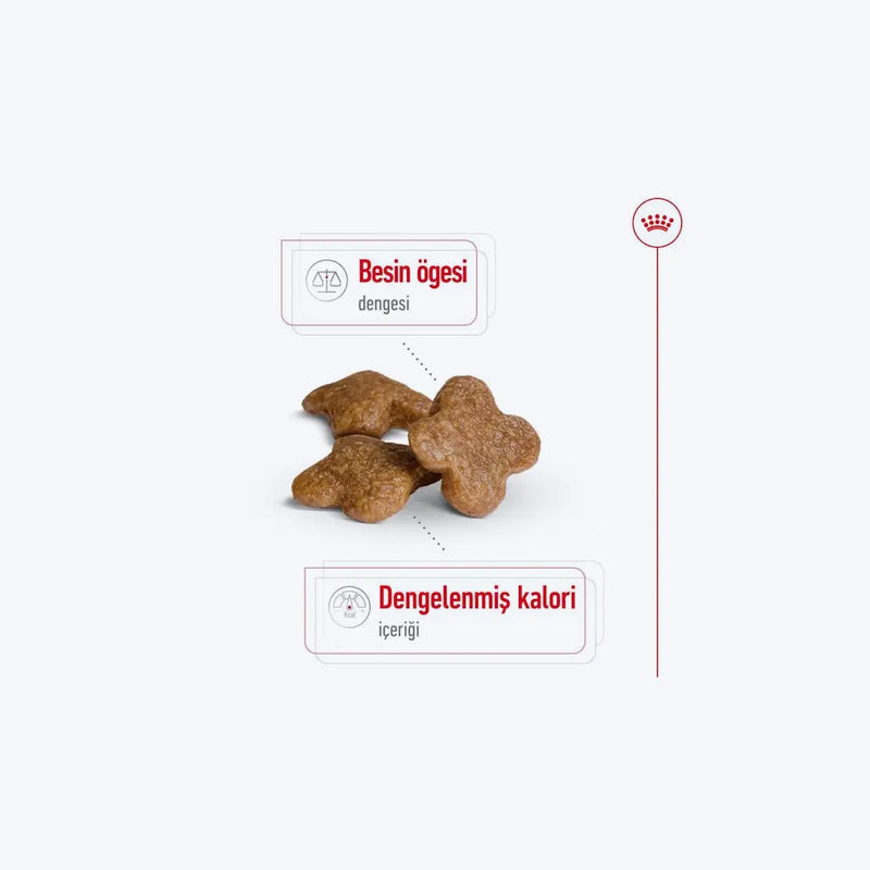 Royal Canin Mini 8+