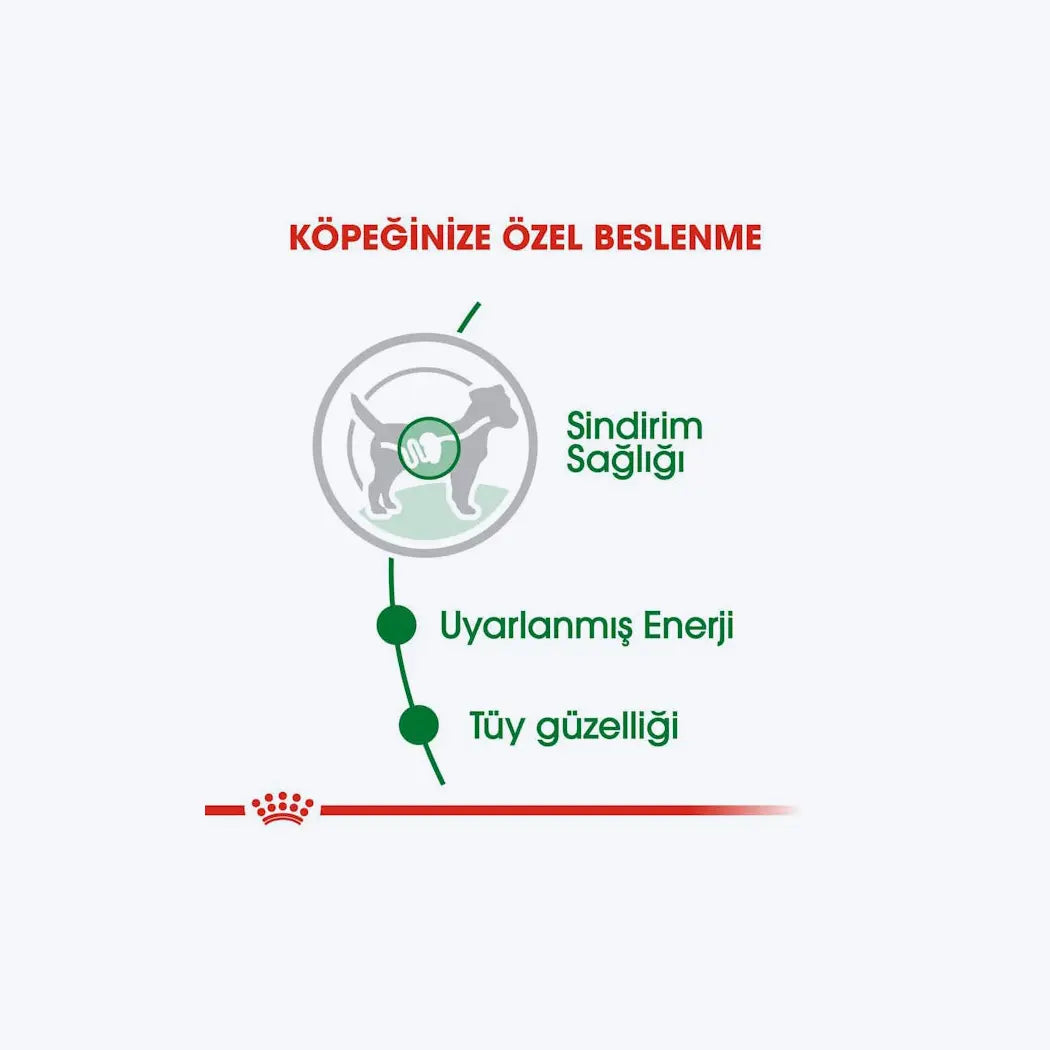 Royal Canin Mini Adult