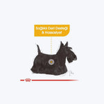 ROYAL CANIN® Dermacomfort Mini