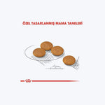 ROYAL CANIN® Dermacomfort Mini