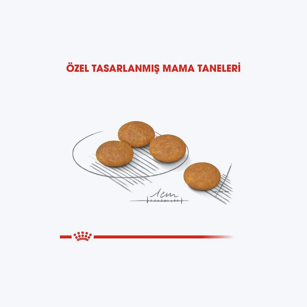 ROYAL CANIN® Dermacomfort Mini