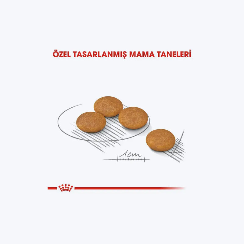 ROYAL CANIN® Dermacomfort Mini
