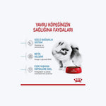 ROYAL CANIN® Mini Indoor Puppy