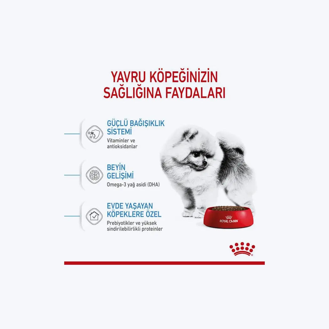 ROYAL CANIN® Mini Indoor Puppy
