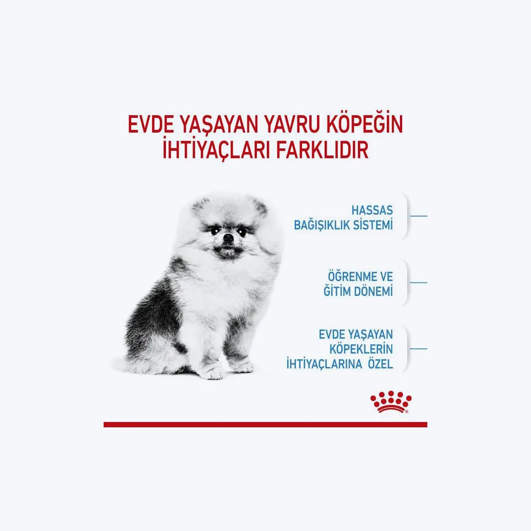 ROYAL CANIN® Mini Indoor Puppy