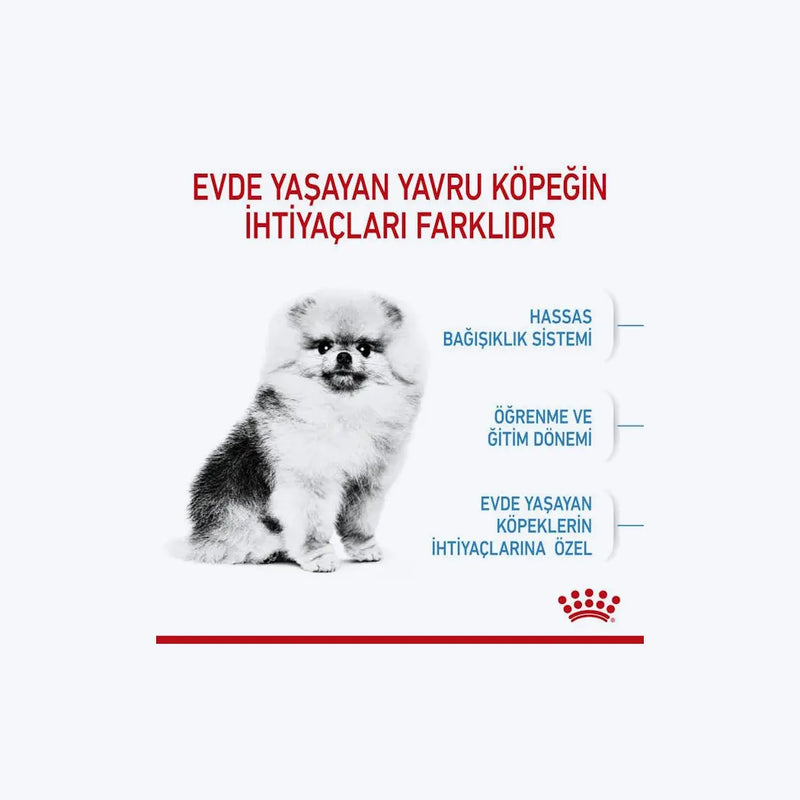 ROYAL CANIN® Mini Indoor Puppy