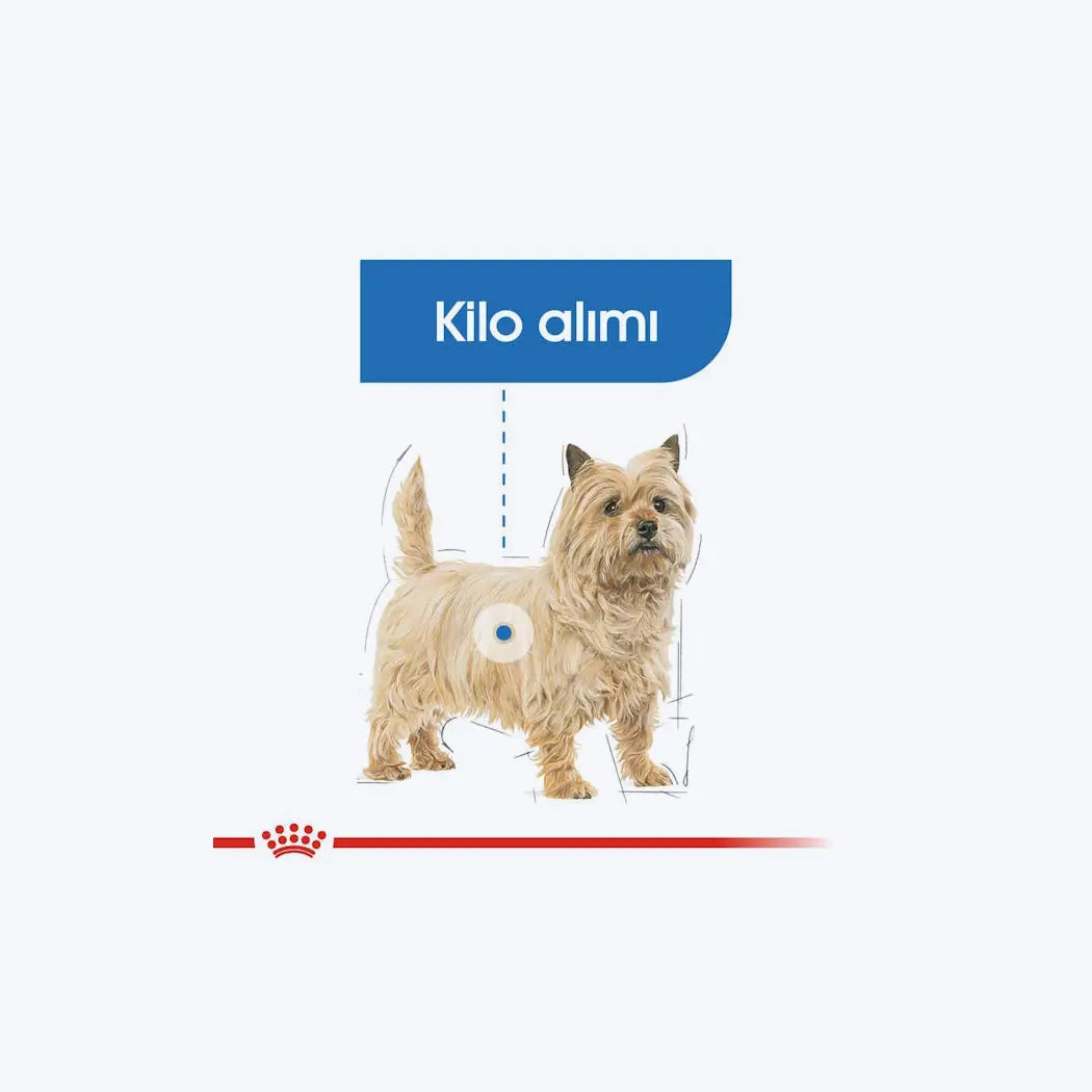 Royal Canin Light Weight Care