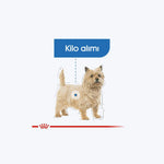 Royal Canin Light Weight Care